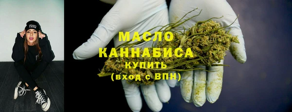 МДПВ Богородск