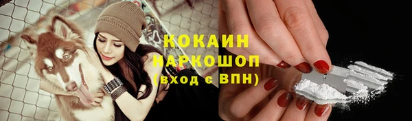 МДПВ Богородск
