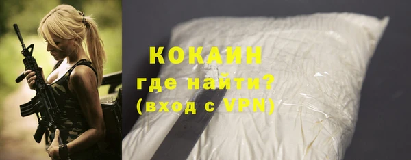 МДПВ Богородск