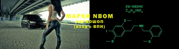 прущие грибы Богданович