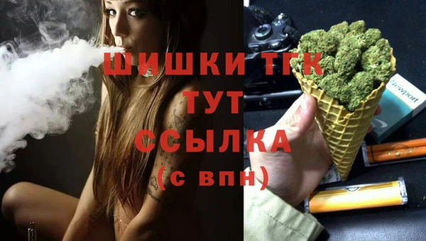 МДПВ Богородск