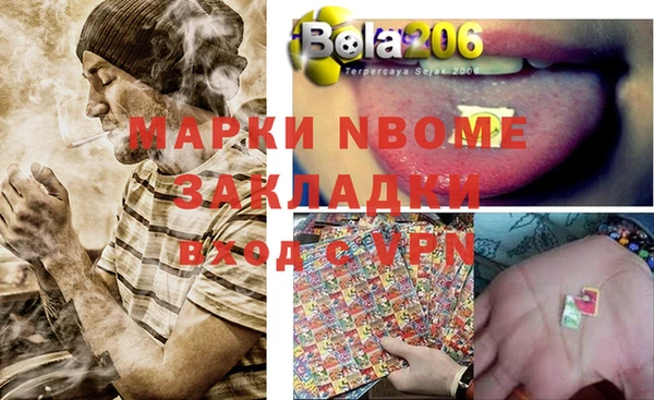 прущие грибы Богданович