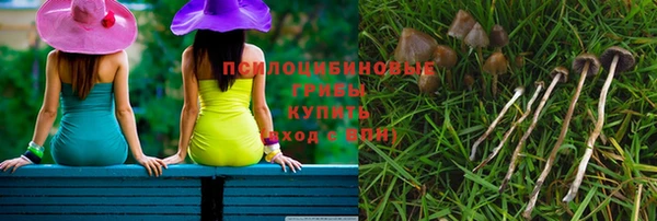 прущие грибы Богданович