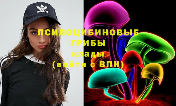 прущие грибы Богданович