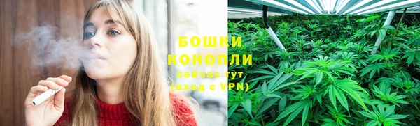 ГАЛЛЮЦИНОГЕННЫЕ ГРИБЫ Богородицк