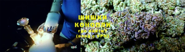 МДПВ Богородск