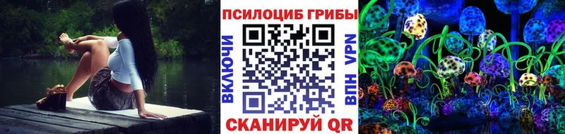 Галлюциногенные грибы ЛСД  ссылка на мегу сайт  Краснознаменск 